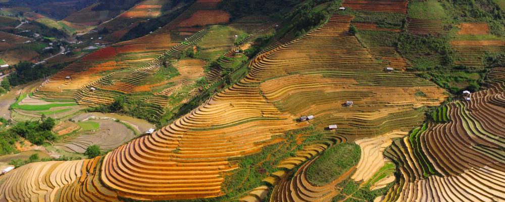 Chế Cu Nha, Vietnam